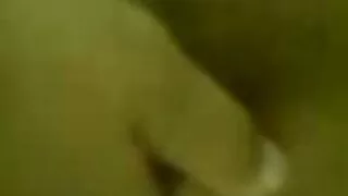 Duas cadelas esbelta ...