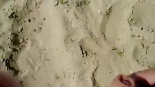 Docinho asiático pei ...
