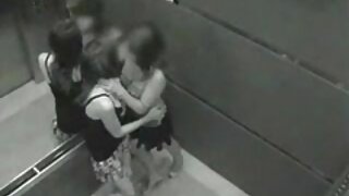 porno nacional brasileiro