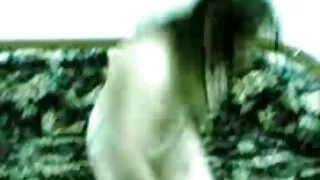 Puta pornô corno bra ...