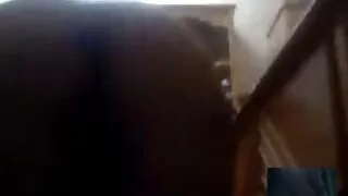 Garota gostosa tem u ...