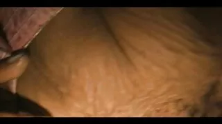 A morena bombástica  ...