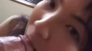 Garanhão de cabelos  ...