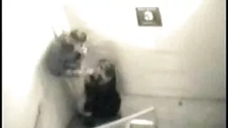 As fofinhas pornôs K ...