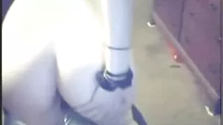 Admiráveis ​​gatas l ...
