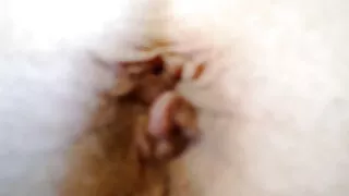 Linda morena vídeo p ...