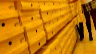 Duas pornobrasil gar ...
